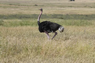 DSC_3924 (Large).JPG